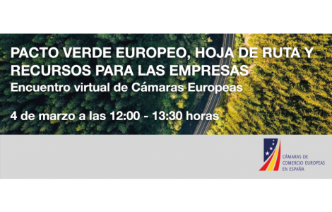 teresa_ribera_banner teresa_ribera_banner