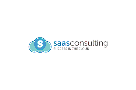 saas consulting logo