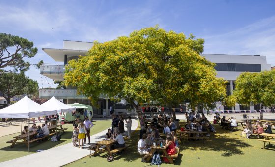 Ideas que salen del escenario y llegan al aula: el Festival of Education debuta con éxito en España